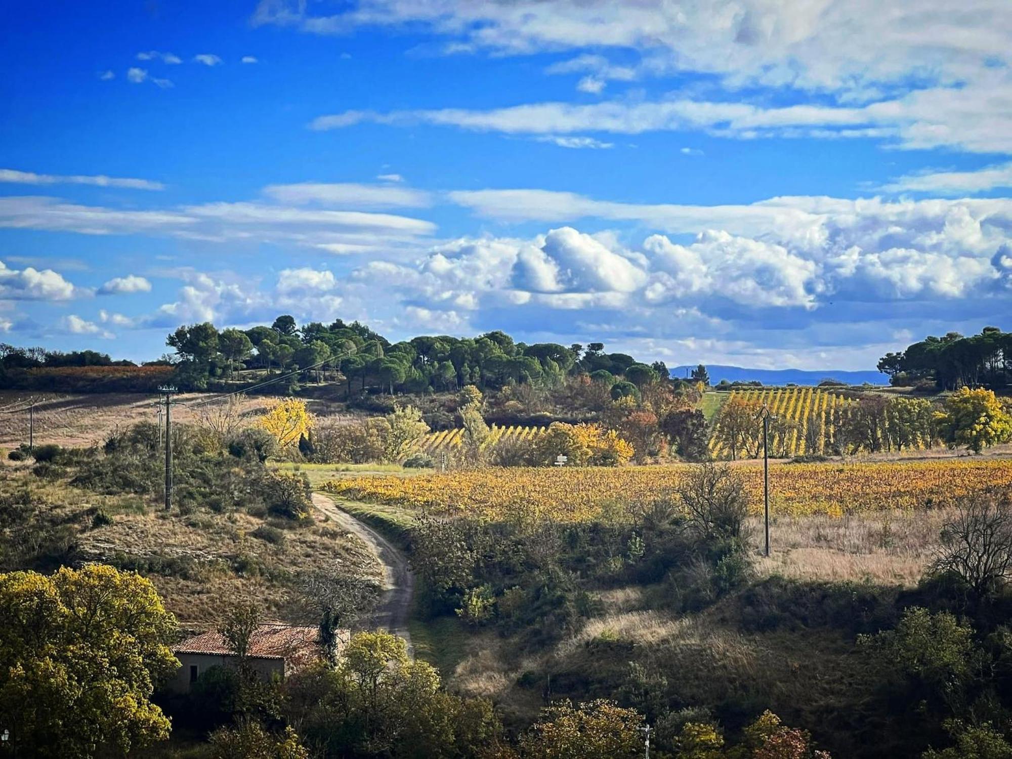 Logis Hotel Restaurant La Bergerie Aragon Экстерьер фото