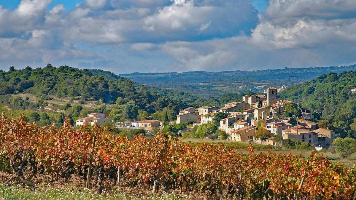 Logis Hotel Restaurant La Bergerie Aragon Экстерьер фото